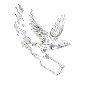 A mysterious bird...